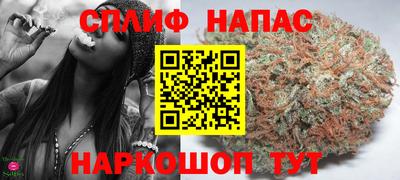 гидра Канаш