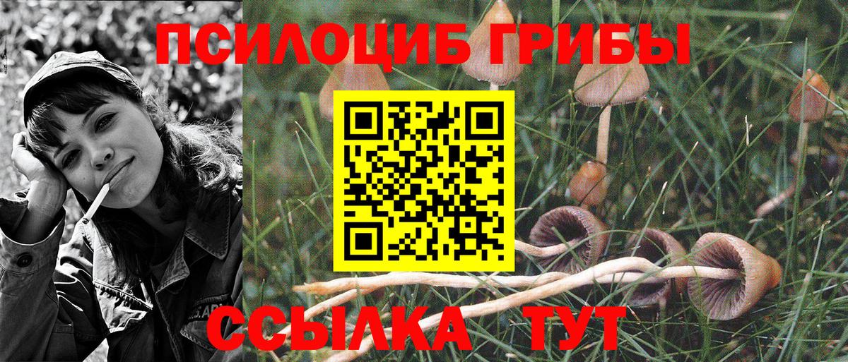 Ишимбай  Галлюциногенные грибы Psilocybe  Галлюциногенные грибы мухоморы  Вход с VPN 