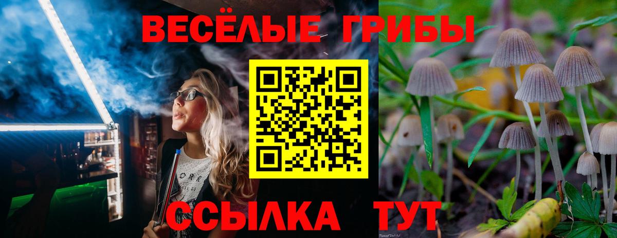 Галлюциногенные грибы GOLDEN TEACHER Ишимбай